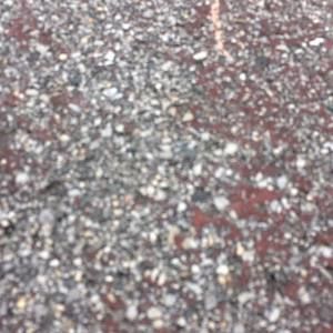 Meet your Posher, Nicholas